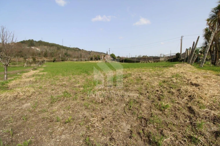 Terreno para Venda em Este (São Pedro e São Mamede) Foto 12