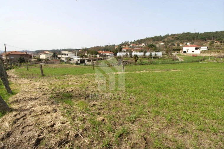 Terreno para Venda em Este (São Pedro e São Mamede) Foto 15