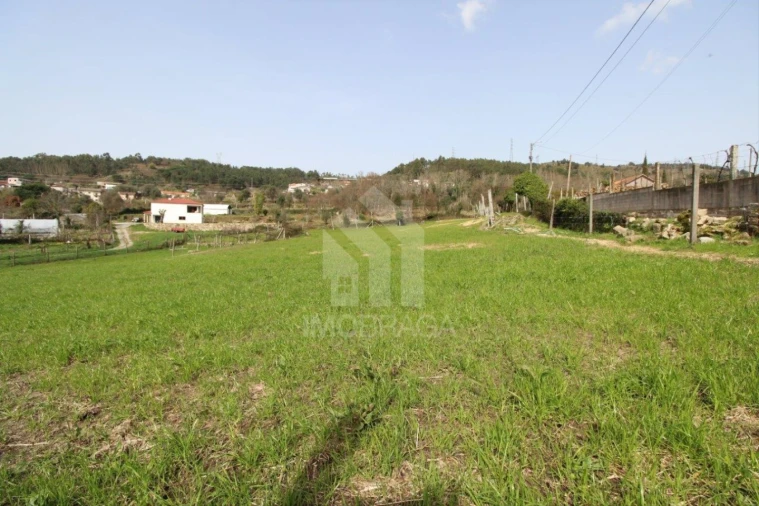 Terreno para Venda em Este (São Pedro e São Mamede) Foto 16