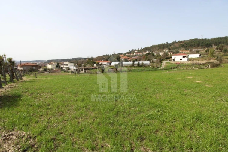 Terreno para Venda em Este (São Pedro e São Mamede) Foto 19