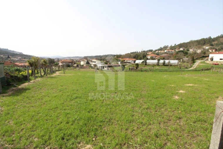 Terreno para Venda em Este (São Pedro e São Mamede) Foto 21