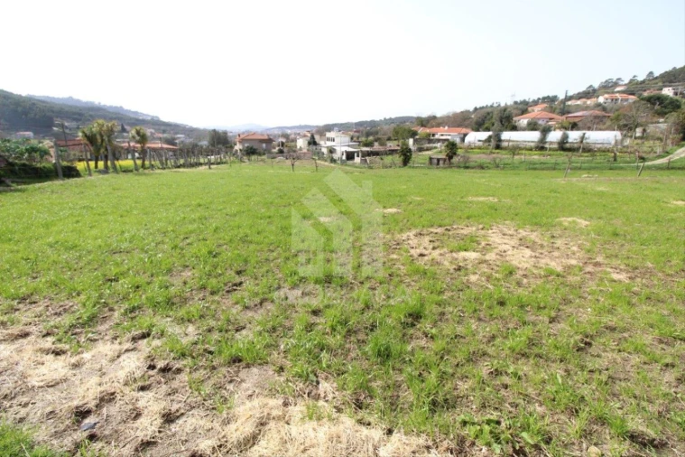 Terreno para Venda em Este (São Pedro e São Mamede) Foto 25