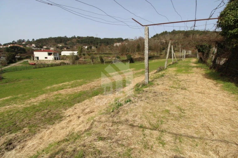 Terreno para Venda em Este (São Pedro e São Mamede) Foto 26