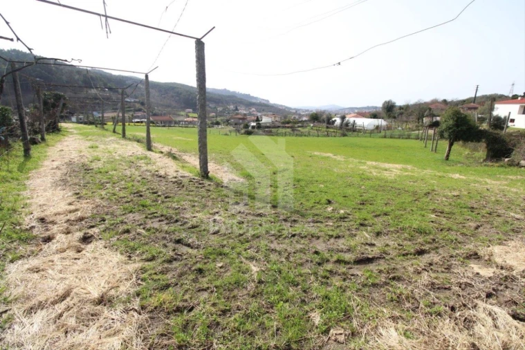 Terreno para Venda em Este (São Pedro e São Mamede) Foto 28
