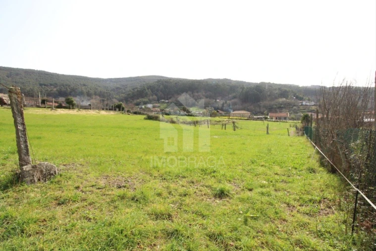Terreno para Venda em Este (São Pedro e São Mamede) Foto 33