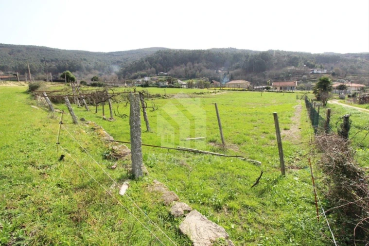 Terreno para Venda em Este (São Pedro e São Mamede) Foto 34