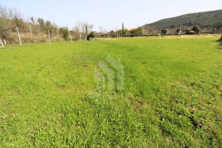Terreno para Venda em Este (São Pedro e São Mamede) Foto 35