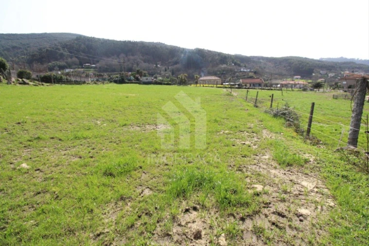 Terreno para Venda em Este (São Pedro e São Mamede) Foto 38