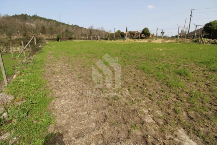 Terreno para Venda em Este (São Pedro e São Mamede) Foto 40