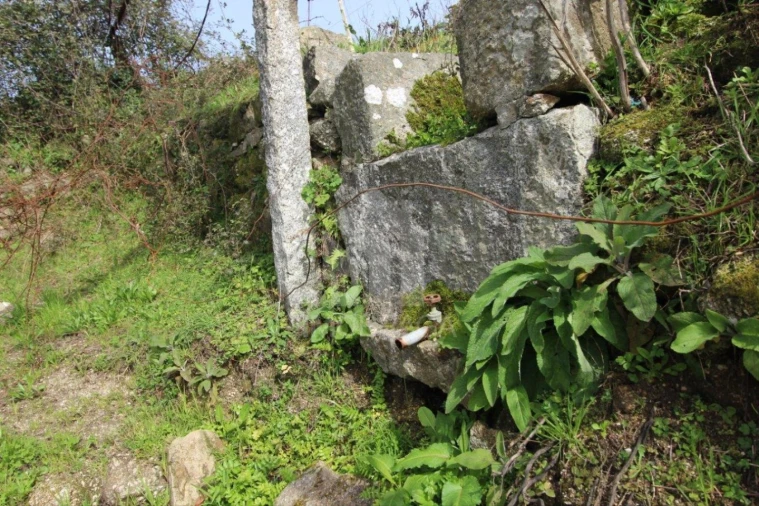 Terreno para Venda em Este (São Pedro e São Mamede) Foto 41
