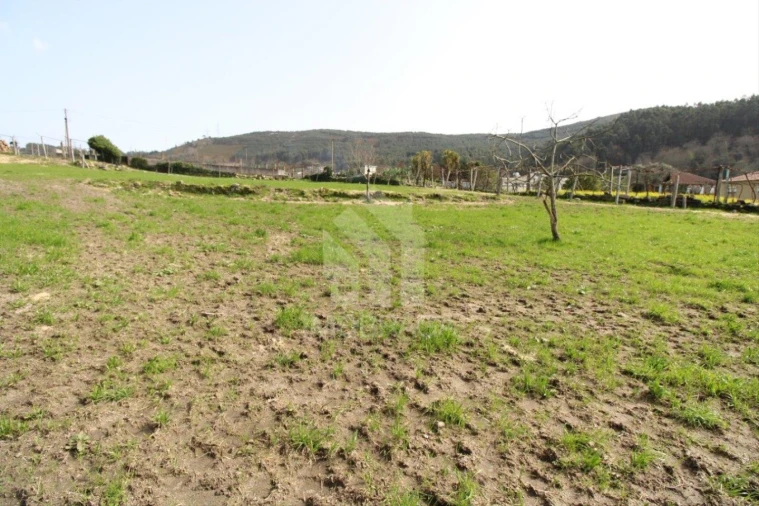 Terreno para Venda em Este (São Pedro e São Mamede) Foto 44