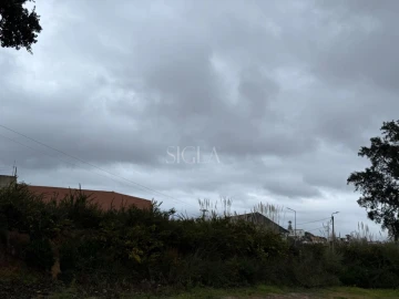Terreno para Venda em Madalena