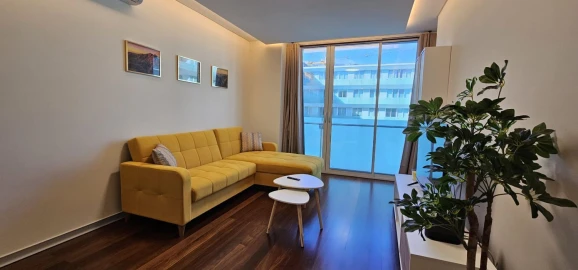 Apartamento T1 para Arrendamento férias em Funchal (Se)