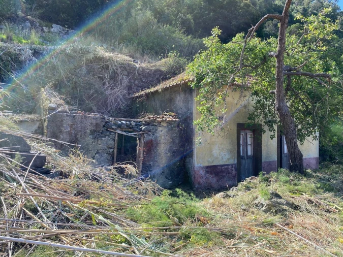 Moradia T2 para Venda em Campanario