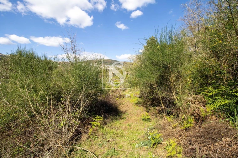 Moradia para Venda em Gestaço Foto 17