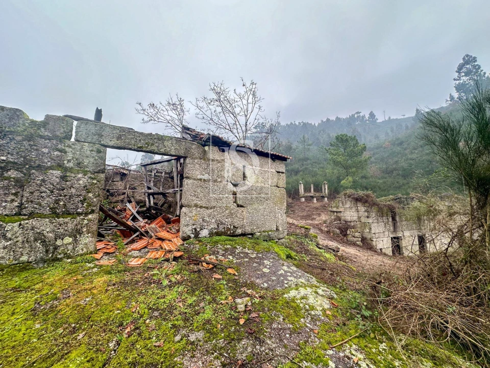 Moradia para Venda em Amarante (São Gonçalo), Madalena, Cepelos e Gatão Foto 3