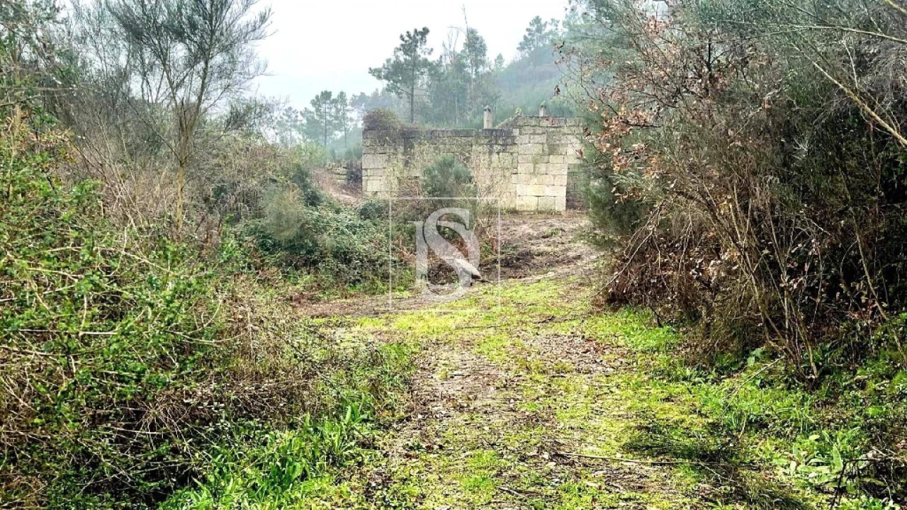 Moradia para Venda em Amarante (São Gonçalo), Madalena, Cepelos e Gatão Foto 4