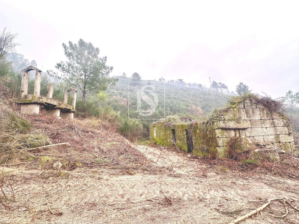 Moradia para Venda em Amarante (São Gonçalo), Madalena, Cepelos e Gatão Foto 5