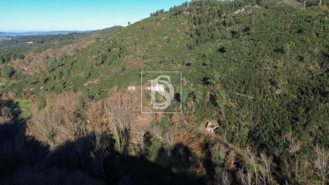 Moradia para Venda em Amarante (São Gonçalo), Madalena, Cepelos e Gatão