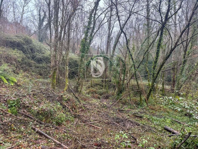 Moradia para Venda em Amarante (São Gonçalo), Madalena, Cepelos e Gatão Foto 15