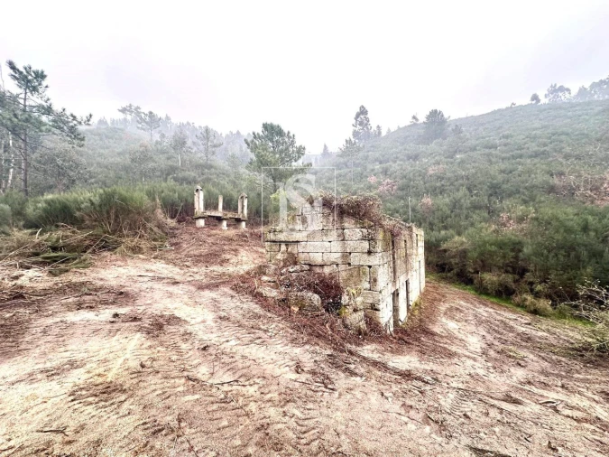 Moradia para Venda em Amarante (São Gonçalo), Madalena, Cepelos e Gatão Foto 2