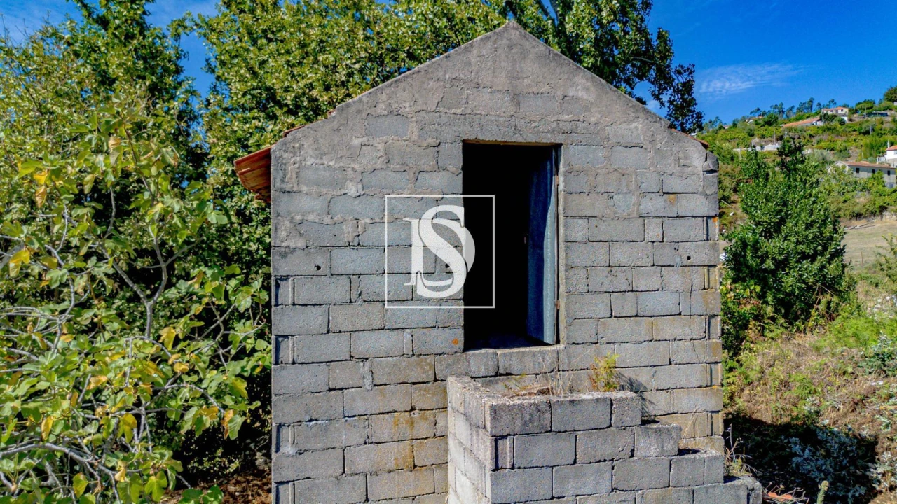 Terreno Agricola ou Rústico para Venda em Baião (Santa Leocádia) e Mesquinhata Foto 28