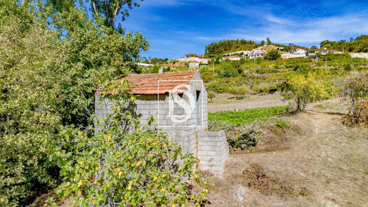 Terreno Agricola ou Rústico para Venda em Baião (Santa Leocádia) e Mesquinhata Foto 34