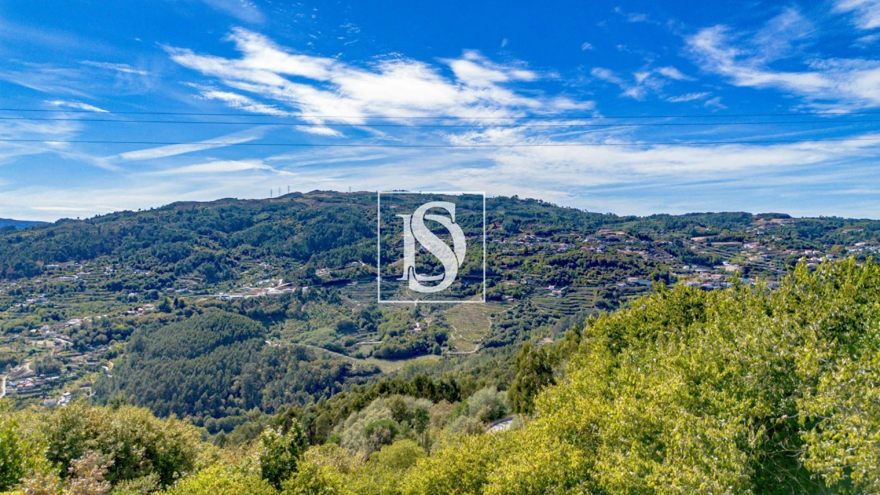 Terreno Agricola ou Rústico para Venda em Baião (Santa Leocádia) e Mesquinhata Foto 36