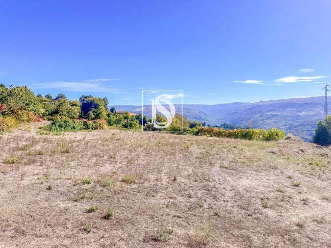 Terreno Agricola ou Rústico para Venda em Baião (Santa Leocádia) e Mesquinhata Foto 25