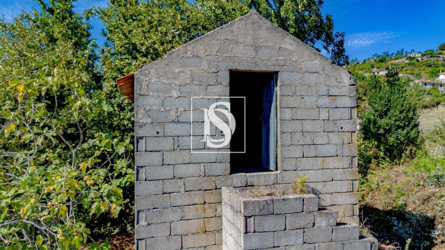 Terreno Agricola ou Rústico para Venda em Baião (Santa Leocádia) e Mesquinhata Foto 28