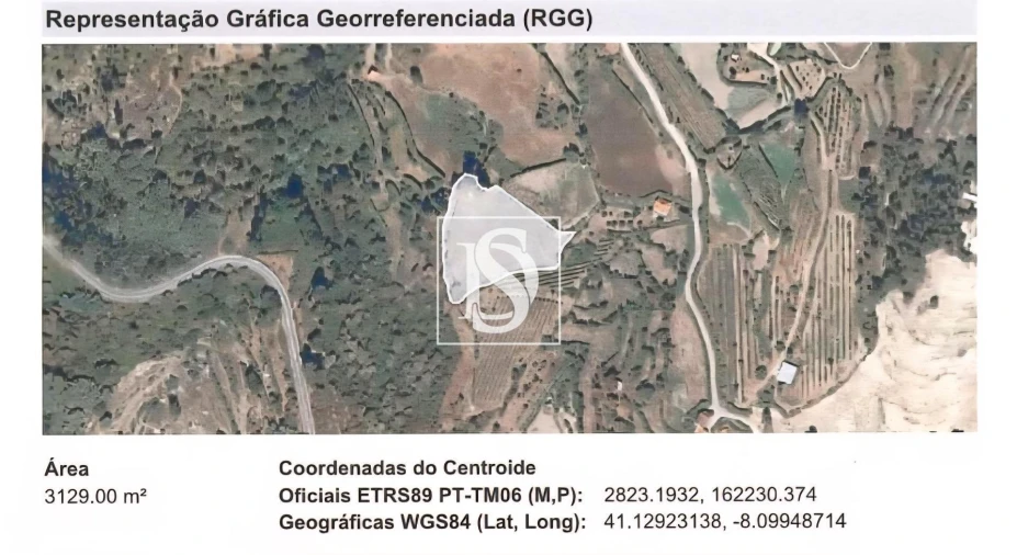 Terreno Agricola ou Rústico para Venda em Baião (Santa Leocádia) e Mesquinhata Foto 37