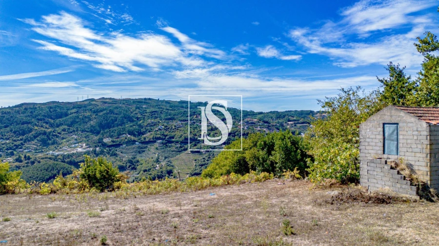 Terreno Agricola ou Rústico para Venda em Baião (Santa Leocádia) e Mesquinhata Foto 5