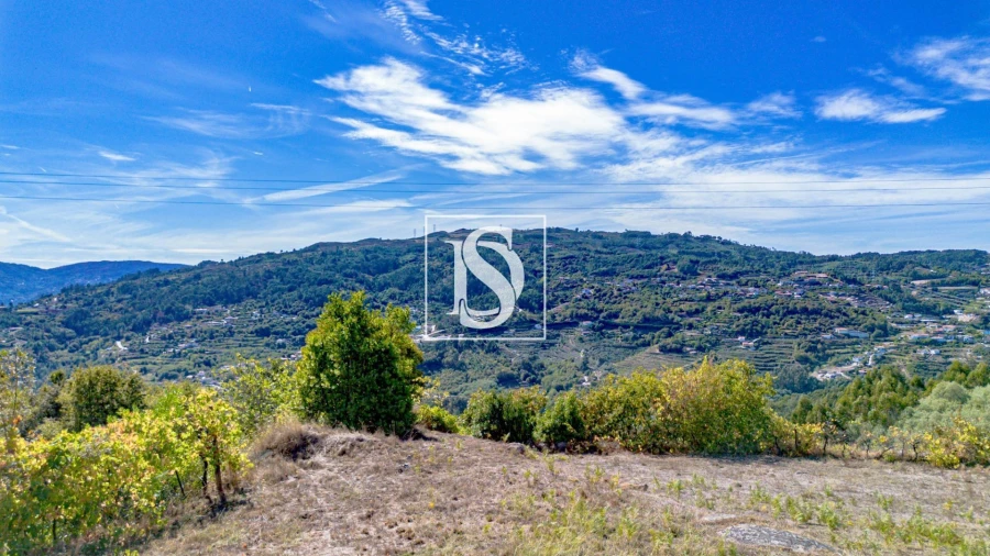 Terreno Agricola ou Rústico para Venda em Baião (Santa Leocádia) e Mesquinhata Foto 8