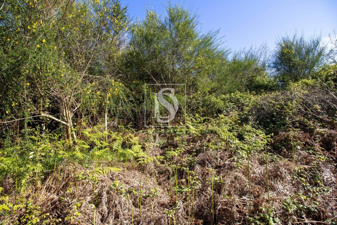 Moradia para Venda em Gestaço Foto 19
