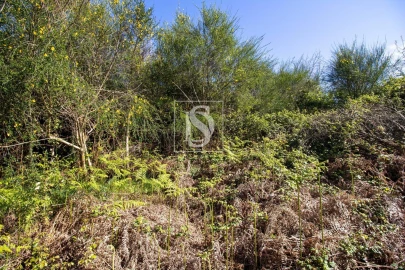 Moradia para Venda em Gestaço