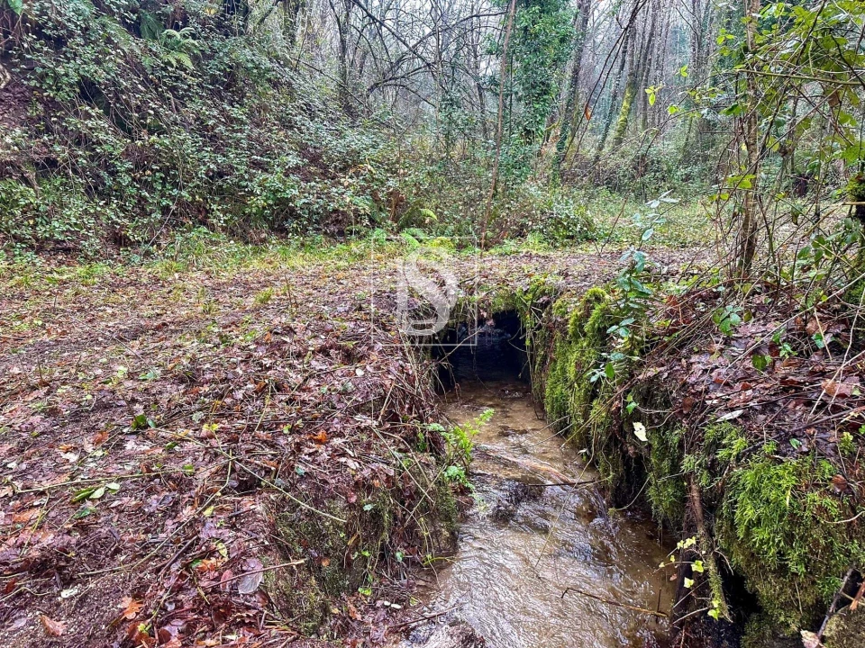 Moradia para Venda em Amarante (São Gonçalo), Madalena, Cepelos e Gatão Foto 10