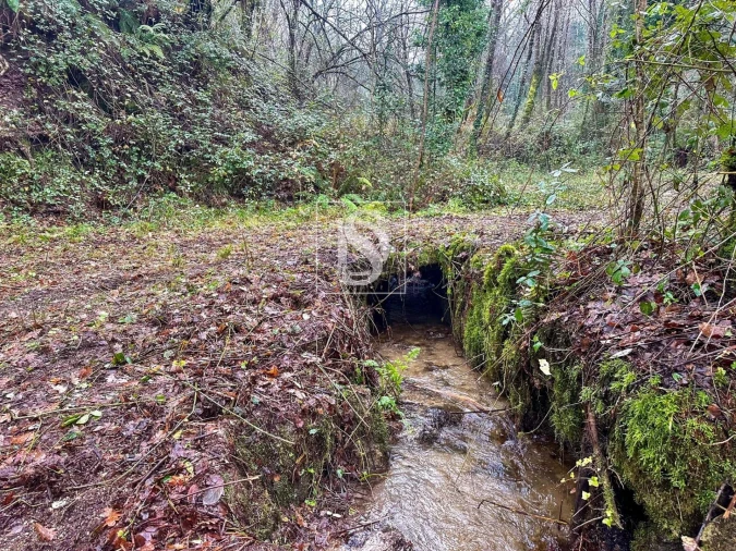Moradia para Venda em Amarante (São Gonçalo), Madalena, Cepelos e Gatão Foto 10