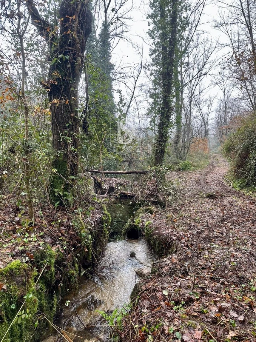 Moradia para Venda em Amarante (São Gonçalo), Madalena, Cepelos e Gatão Foto 11