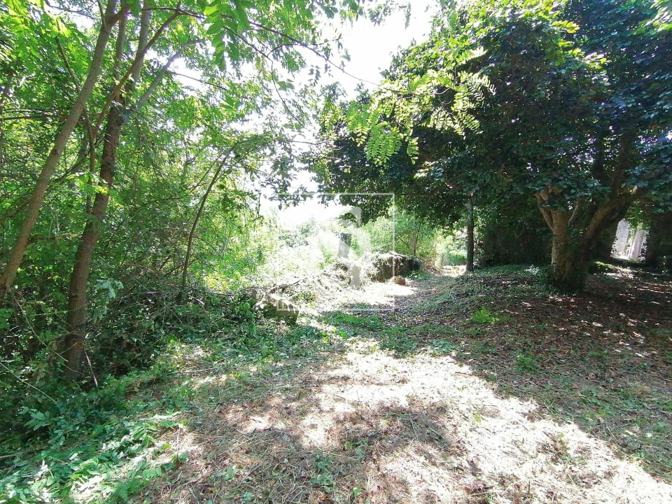 Moradia para Venda em Alpendorada, Várzea e Torrão Foto 5