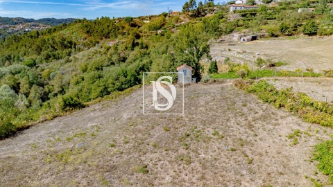 Terreno Agricola ou Rústico para Venda em Baião (Santa Leocádia) e Mesquinhata