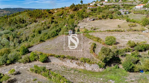 Terreno Agricola ou Rústico para Venda em Baião (Santa Leocádia) e Mesquinhata
