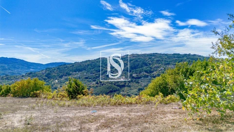Terreno Agricola ou Rústico para Venda em Baião (Santa Leocádia) e Mesquinhata