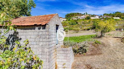 Terreno Agricola ou Rústico para Venda em Baião (Santa Leocádia) e Mesquinhata