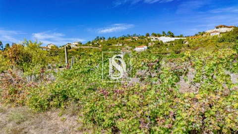 Terreno Agricola ou Rústico para Venda em Baião (Santa Leocádia) e Mesquinhata
