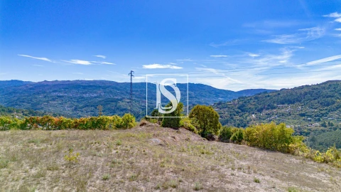 Terreno Agricola ou Rústico para Venda em Baião (Santa Leocádia) e Mesquinhata