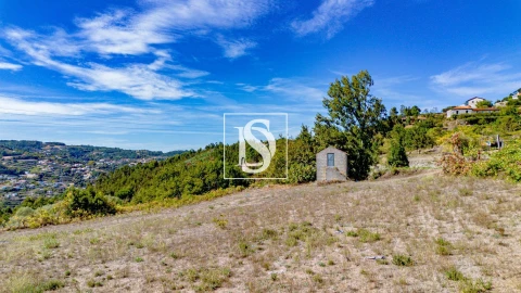 Terreno Agricola ou Rústico para Venda em Baião (Santa Leocádia) e Mesquinhata