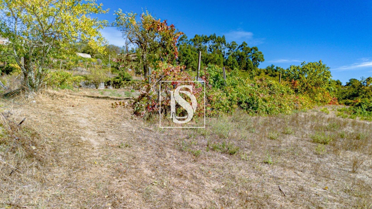 Terreno Agricola ou Rústico para Venda em Baião (Santa Leocádia) e Mesquinhata Foto 17