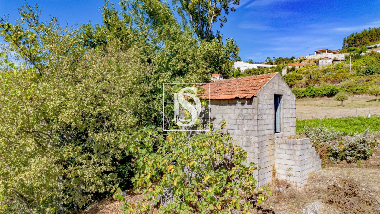 Terreno Agricola ou Rústico para Venda em Baião (Santa Leocádia) e Mesquinhata Foto 30