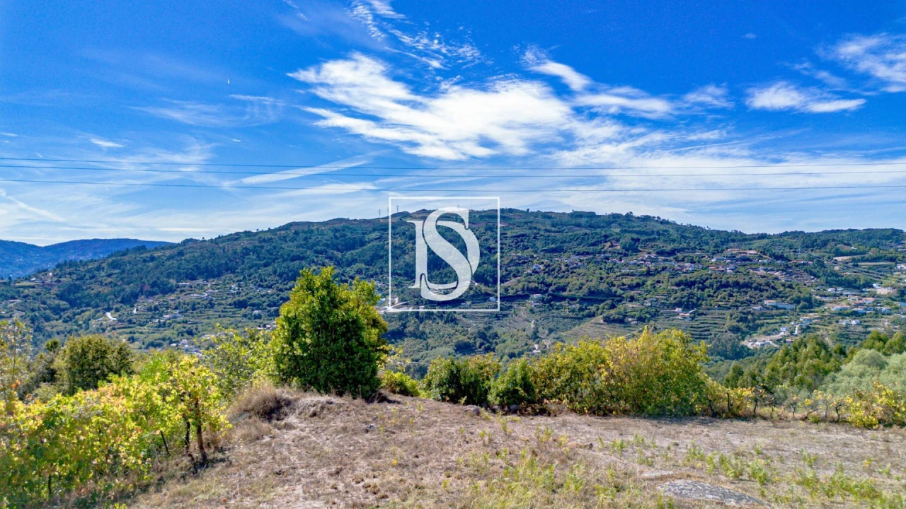 Terreno Agricola ou Rústico para Venda em Baião (Santa Leocádia) e Mesquinhata Foto 8