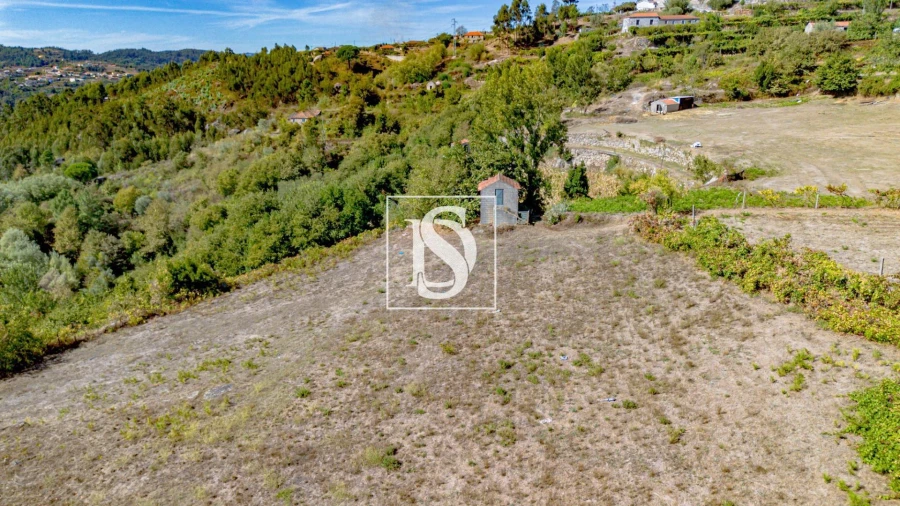 Terreno Agricola ou Rústico para Venda em Baião (Santa Leocádia) e Mesquinhata Foto 11